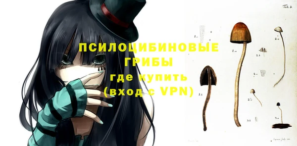 mdma Медвежьегорск