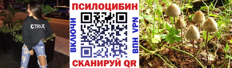 Псилоцибиновые грибы Magic Shrooms  Купить закладки  Няндома 